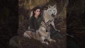 Песня "Shabilio".