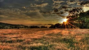 НЕ ПОНИМАЮ, КАК ЛЮБОВЬ ТВОЯ ВЛЕЧЕТ МЕНЯ! Инна Громова