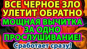 ☦️ВСЕ ЧЕРНОЕ ЗЛО УЛЕТИТ ОБРАТНО🕯️МОЩНАЯ ВЫЧИТКА ЗА ОДНО ПРОСЛУШИВАНИЕ!🌹Сработает сразу! 🙏