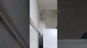 драка за лаки