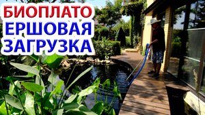 Биоплато 8 ЛЕТ опыта - лучшая фильтрация пруда - Ершовая загрузка.