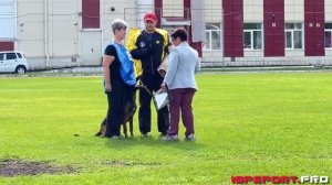 О. Шпагина и Spaykvel Yakudza, IGP-3, С-80, Чемпионат НСО по IGP