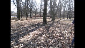 Будзинкан Санкт-Петербург Сибу Додзё, сихан Мирошкин Павел