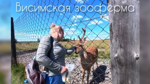 Висимская зооферма _ Купание в речке Межевая Утка _ Водопад