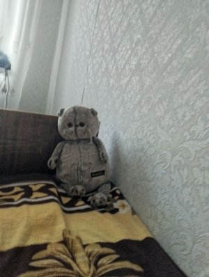 видео с басиком
