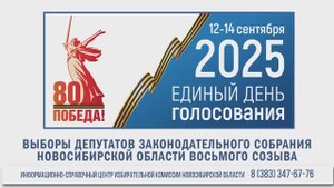 Выборы НСО 2025. Единый день голосования