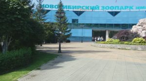 поездка в зоопарк
