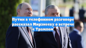 Путин в телефонном разговоре рассказал Мирзиееву о встрече с Трампом