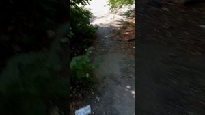 заброшенный детский сад