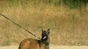 Обучение выдержке. Уроки от Команды Азарт