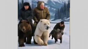 Поехали на Аляску