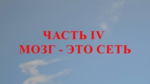 ЧАСТЬ IV МОЗГ - ЭТО СЕТЬ