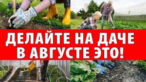 Что нужно сделать в августе на даче  Ошибки, которые лишают урожая
