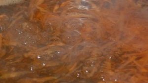 Грибной суп с перловкой