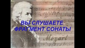 Сонатное творчество Моцарта. Автор видео: Садова Елена@СадоваЕлена-ф8м