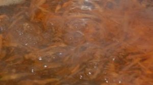 Грибной суп с перловкой