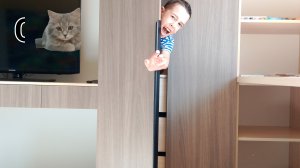 Нас ЗАПЕРЛИ в ШКАФУ! Кошка кричит МЯУ! Мы в шоке! Это был брат-близнец!