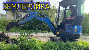 16.08.25 землеройка на даче //  дыня за неделю и 30 кг огурцов // красоты Вьетнама // право на мечту