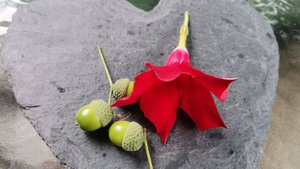 Сборка июнь-июль Эвелинка