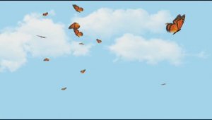 Превращение бабочки_ Феана-Феано by Suno