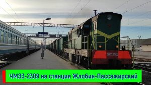 Маневровый тепловоз ЧМЭ3-2309 на станции Жлобин-Пассажирский