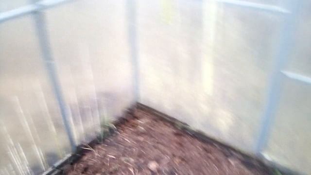 обзор огорода в декабре