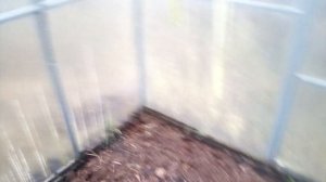 обзор огорода в декабре