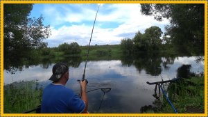 Рыбалка на Дону, поклевки на каждом забросе!