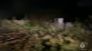 пожар в снт