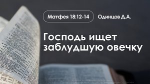 «Господь ищет заблудшую овечку» | Матфея 18:12-14 | Одинцов Д.А.| 17.08.25