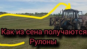 Сколько удалось напрессовать рулонов сена с крайнего сенокоса ,при помощи трактора МТЗ82 и ПРФ145