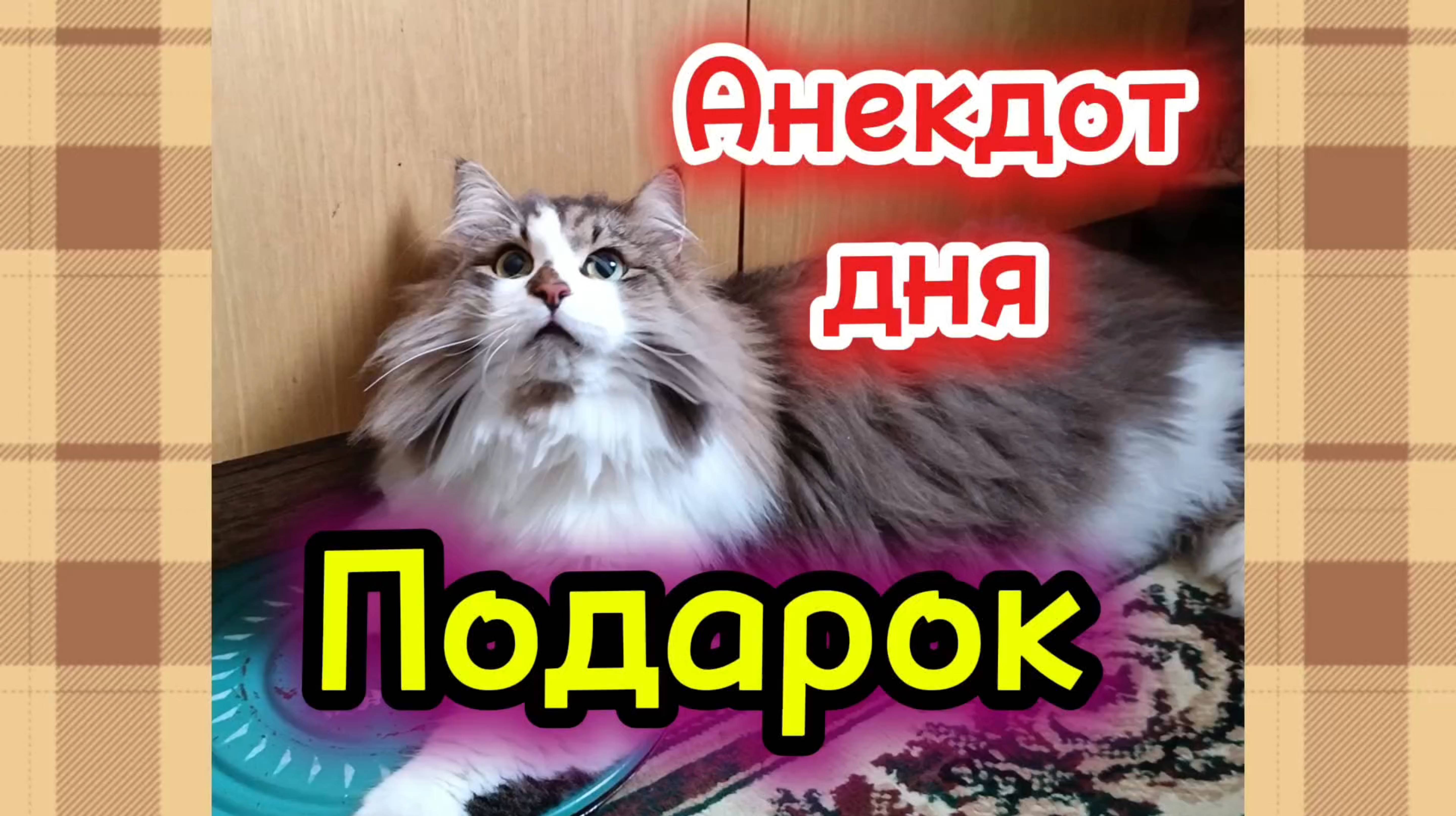 Анекдот дня. Подарок.