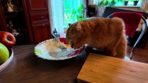 Моя посудомойка