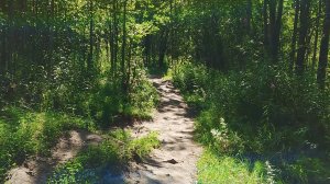 17-08-2025 кусочек природы