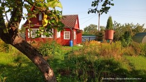 Обзор участка, дома,бани