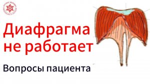 Диафрагма не работает. Вопросы пациента