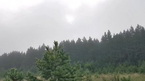 Туман и солнце