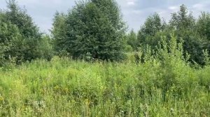 video_2025-08-18_10-52-35