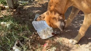 Придорожный сельский рынок в Камбодже