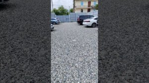 Жоэквара 2025