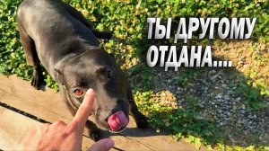 Не моя ты не моя....