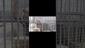 один яркий день лета Марьенко Варвары