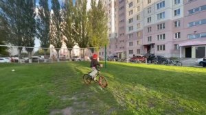 queen OFF garden "Китай" КЛИП