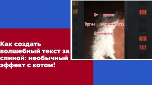 Как создать волшебный текст за спиной: необычный эффект с котом!