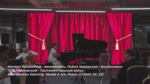 П. И. Чайковский - Сентиментальный вальс