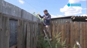 Улaн-yдэнцы жaлyютcя нa coceдcкyю cвинoфepмy