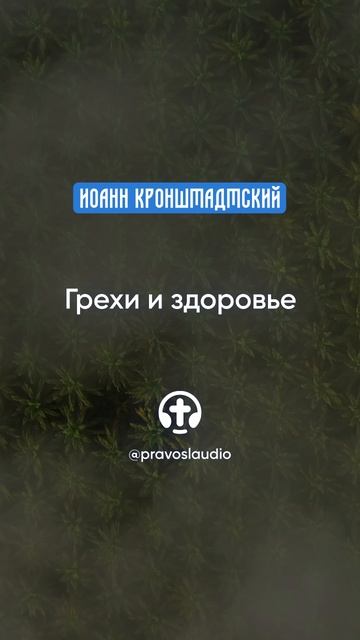 344 Грехи и здоровье — Иоанн Кронштадтский #Бог #душа #вера #молитва #сердце #любовь #жизнь смотреть онлайн