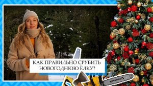 Как правильно срубить елку в на Новый год?