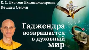 Гаджендра возвращается в духовный мир / ББ Кешава Свами.
