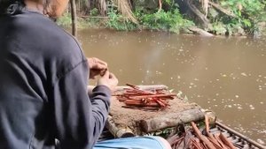 Туризм и отдых выживание в дикой природе